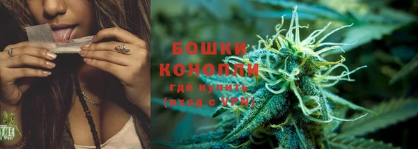 дживик Бронницы