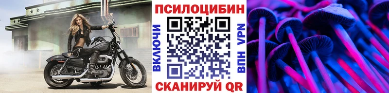 mega сайт  Глазов  Псилоцибиновые грибы мицелий 